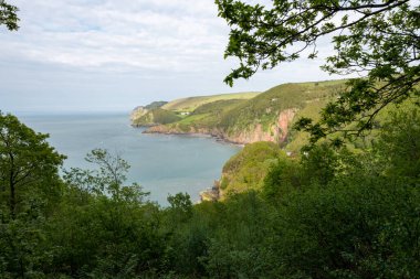 View from the South West Coastpath of the North Devon coastline at Woody Bay
