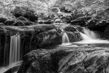 Exmoor Ulusal Parkı 'ndaki Watersmeet' te Hoar Oak Nehri 'nde uzun süre bir şelale görüldü.