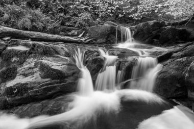 Exmoor Ulusal Parkı 'ndaki Watersmeet' te Hoar Oak Nehri 'nde uzun süre bir şelale görüldü.