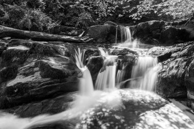 Exmoor Ulusal Parkı 'ndaki Watersmeet' te Hoar Oak Nehri 'nde uzun süre bir şelale görüldü.