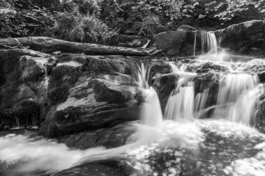 Exmoor Ulusal Parkı 'ndaki Watersmeet' te Hoar Oak Nehri 'nde uzun süre bir şelale görüldü.