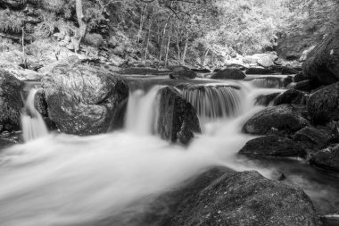 Doğu Lyn nehri üzerinde Exmoor Ulusal Parkı 'ndaki Watersmeet' te uzun süre bir şelale görüldü.