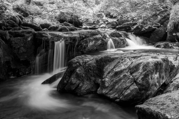 Exmoor Ulusal Parkı Ndaki Watersmeet Hoar Oak Nehri Nde Uzun — Stok fotoğraf