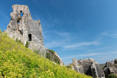 Corfe Castle Dorset'deki / daki kalıntıları