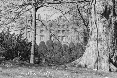 Powis Kalesi. Powys. Galler. 7. 2025. Galler 'deki Powis Kalesi' nin fotoğrafı.