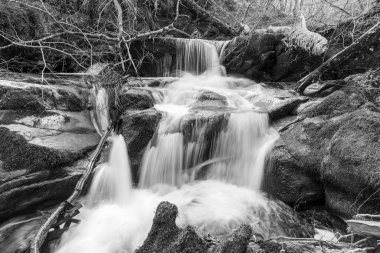 Exmoor Ulusal Parkı 'ndaki Watersmeet' te Hoar Oak Nehri 'nde uzun süre bir şelale görüldü.