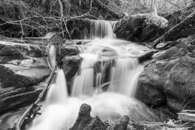 Exmoor Ulusal Parkı 'ndaki Watersmeet' te Hoar Oak Nehri 'nde uzun süre bir şelale görüldü.