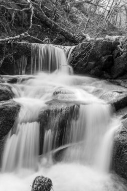 Exmoor Ulusal Parkı 'ndaki Watersmeet' te Hoar Oak Nehri 'nde uzun süre bir şelale görüldü.