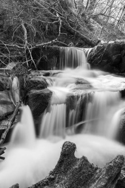 Exmoor Ulusal Parkı 'ndaki Watersmeet' te Hoar Oak Nehri 'nde uzun süre bir şelale görüldü.