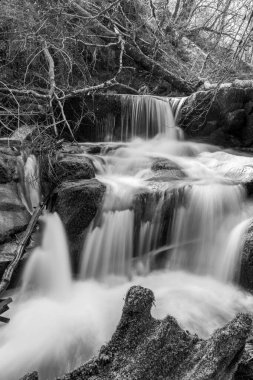 Exmoor Ulusal Parkı 'ndaki Watersmeet' te Hoar Oak Nehri 'nde uzun süre bir şelale görüldü.