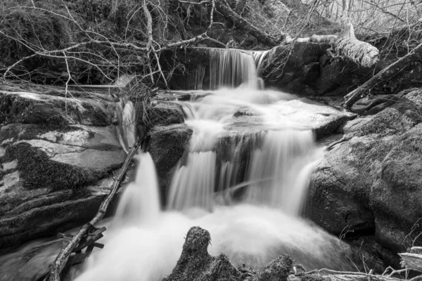 Exmoor Ulusal Parkı 'ndaki Watersmeet' te Hoar Oak Nehri 'nde uzun süre bir şelale görüldü.