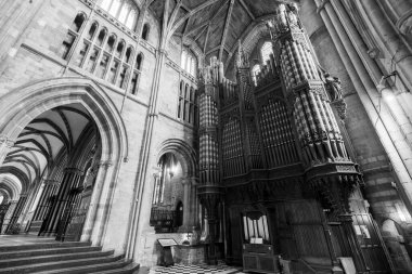 Worcester. Worcester Shire.Birleşik Krallık. 4. 2025. Worcester Katedrali 'ndeki nav orgu fotoğrafı.