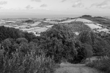 Exmoor Ulusal Parkı 'ndaki Brendon tepelerinin tepesinden görüntü