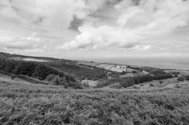 Porlock Common, Exmoor Natioanl Park 'taki Porlock Hill' in tepesinde.