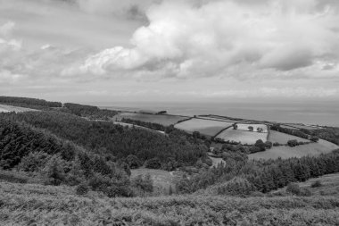 Porlock Common, Exmoor Natioanl Park 'taki Porlock Hill' in tepesinde.