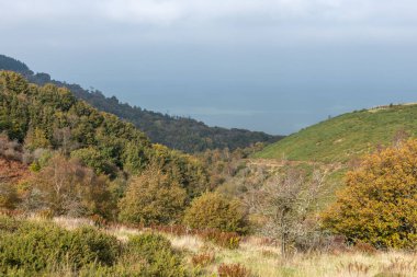 Glenthorne Exmoor Ulusal Parkı 'ndaki sonbahar renklerinin fotoğrafı.
