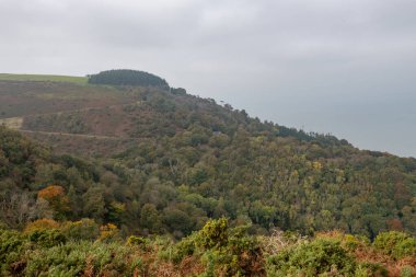 Glenthorne Exmoor Ulusal Parkı 'ndaki sonbahar renklerinin fotoğrafı.