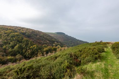 Glenthorne Exmoor Ulusal Parkı 'ndaki sonbahar renklerinin fotoğrafı.
