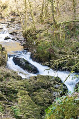 Doğu Lyn nehrinin üzerinde Exmoor Ulusal Parkı 'ndaki Watersmeet' te akan şelalenin uzun pozu