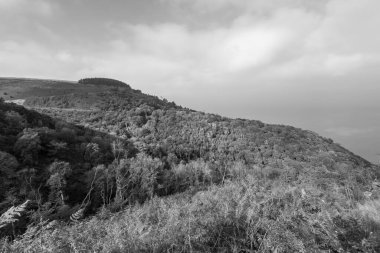 Glenthorne 'un Exmoor Ulusal Parkı' ndaki siyah beyaz fotoğrafı