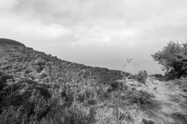 Glenthorne 'un Exmoor Ulusal Parkı' ndaki siyah beyaz fotoğrafı