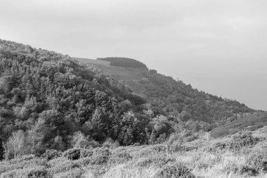 Glenthorne 'un Exmoor Ulusal Parkı' ndaki siyah beyaz fotoğrafı