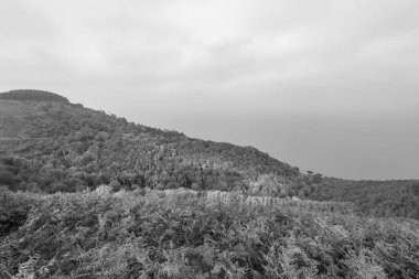 Glenthorne 'un Exmoor Ulusal Parkı' ndaki siyah beyaz fotoğrafı