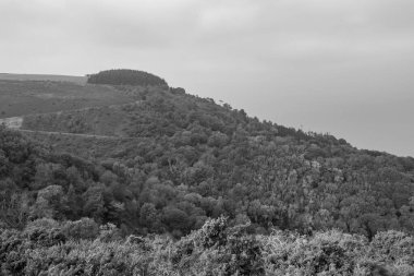 Glenthorne 'un Exmoor Ulusal Parkı' ndaki siyah beyaz fotoğrafı