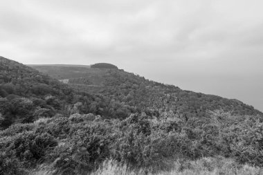 Glenthorne 'un Exmoor Ulusal Parkı' ndaki siyah beyaz fotoğrafı