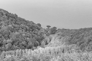 Glenthorne 'un Exmoor Ulusal Parkı' ndaki siyah beyaz fotoğrafı