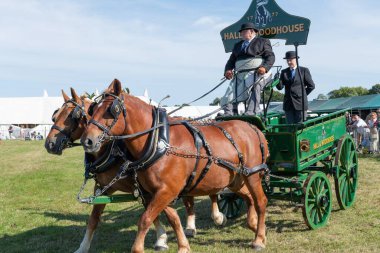 Dorchester. Dorset.Birleşik Krallık. 6 Ekim 2025. Dorset İlçe Şovu 'nda bir at arabası çekiyorlar.