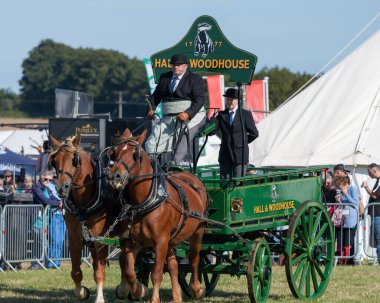 Dorchester. Dorset.Birleşik Krallık. 6 Ekim 2025. Dorset İlçe Şovu 'nda bir at arabası çekiyorlar.