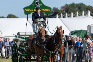 Dorchester. Dorset.Birleşik Krallık. 6 Ekim 2025. Dorset İlçe Şovu 'nda bir at arabası çekiyorlar.