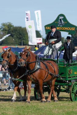 Dorchester. Dorset.Birleşik Krallık. 6 Ekim 2025. Dorset İlçe Şovu 'nda bir at arabası çekiyorlar.