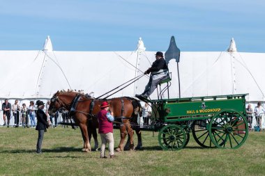 Dorchester. Dorset.Birleşik Krallık. 6 Ekim 2025. Dorset İlçe Şovu 'nda bir at arabası çekiyorlar.