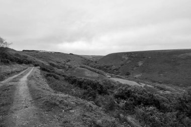 Weir Nehri 'nin kıyısındaki Exmoor Ulusal Parkı' ndaki Robbers Köprüsü 'nün çevresel yürüyüşü boyunca uzanan vadinin manzara fotoğrafı.