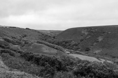 Weir Nehri 'nin kıyısındaki Exmoor Ulusal Parkı' ndaki Robbers Köprüsü 'nün çevresel yürüyüşü boyunca uzanan vadinin manzara fotoğrafı.
