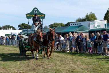 Dorchester. Dorset.Birleşik Krallık. 6 Ekim 2025. Dorset İlçe Şovu 'nda bir at arabası çekiyorlar.