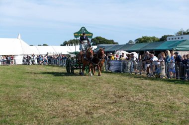 Dorchester. Dorset.Birleşik Krallık. 6 Ekim 2025. Dorset İlçe Şovu 'nda bir at arabası çekiyorlar.