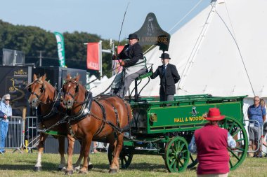 Dorchester. Dorset.Birleşik Krallık. 6 Ekim 2025. Dorset İlçe Şovu 'nda bir at arabası çekiyorlar.