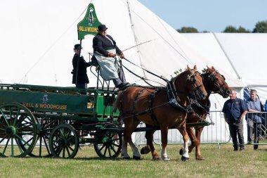 Dorchester. Dorset.Birleşik Krallık. 6 Ekim 2025. Dorset İlçe Şovu 'nda bir at arabası çekiyorlar.