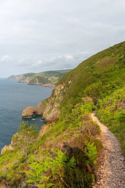 View from the South West Coastpath of the North Devon coastline at Woody Bay