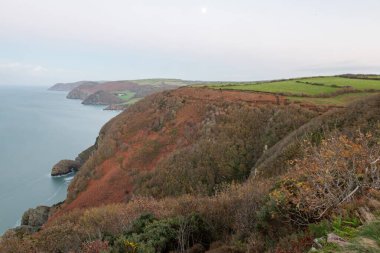 Sonbaharda Woody Körfezi 'ndeki Kuzey Devon sahil şeridinin güneybatı kıyısından görüntü.