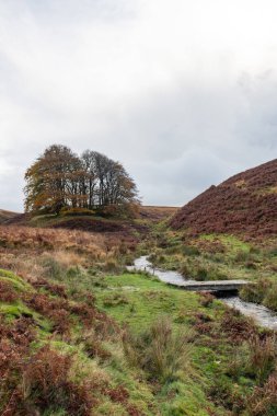 Exmoor Ulusal Parkı 'ndaki Üç Tuğla Ayağının Fotoğrafı