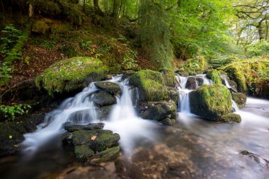 Exmoor Ulusal Parkı 'ndaki Watersmeet' te Hoar Oak Nehri 'nde uzun süre bir şelale görüldü.