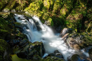 Exmoor Ulusal Parkı 'ndaki Watersmeet' te Hoar Oak Nehri 'nde uzun süre bir şelale görüldü.