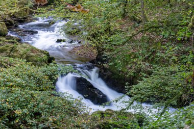 Doğu Lyn nehrinin üzerinde Exmoor Ulusal Parkı 'ndaki Watersmeet' te akan şelalenin uzun pozu