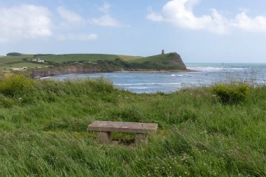 Dorset 'teki Kimmeridge Körfezi' nin manzara fotoğrafı.