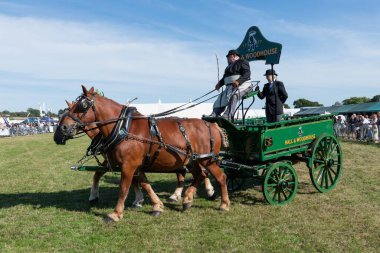 Dorchester. Dorset.Birleşik Krallık. 6 Ekim 2025. Dorset İlçe Şovu 'nda bir at arabası çekiyorlar.