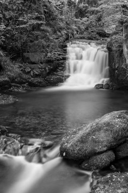 Exmoor Ulusal Parkı 'ndaki Watersmeet' teki Hoar Oak Nehri 'ndeki büyük şelaleye uzun süre maruz kalmış.